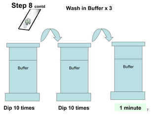 Buffer Buffer Buffer Wash in Buffer x 3 Dip 10 times Dip 10 times 1 minute Step 8  contd 