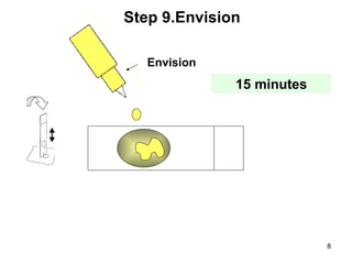 Envision Step 9.Envision 15 minutes 