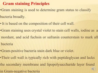 Ppt Principle Of Staining Technique Powerpoint