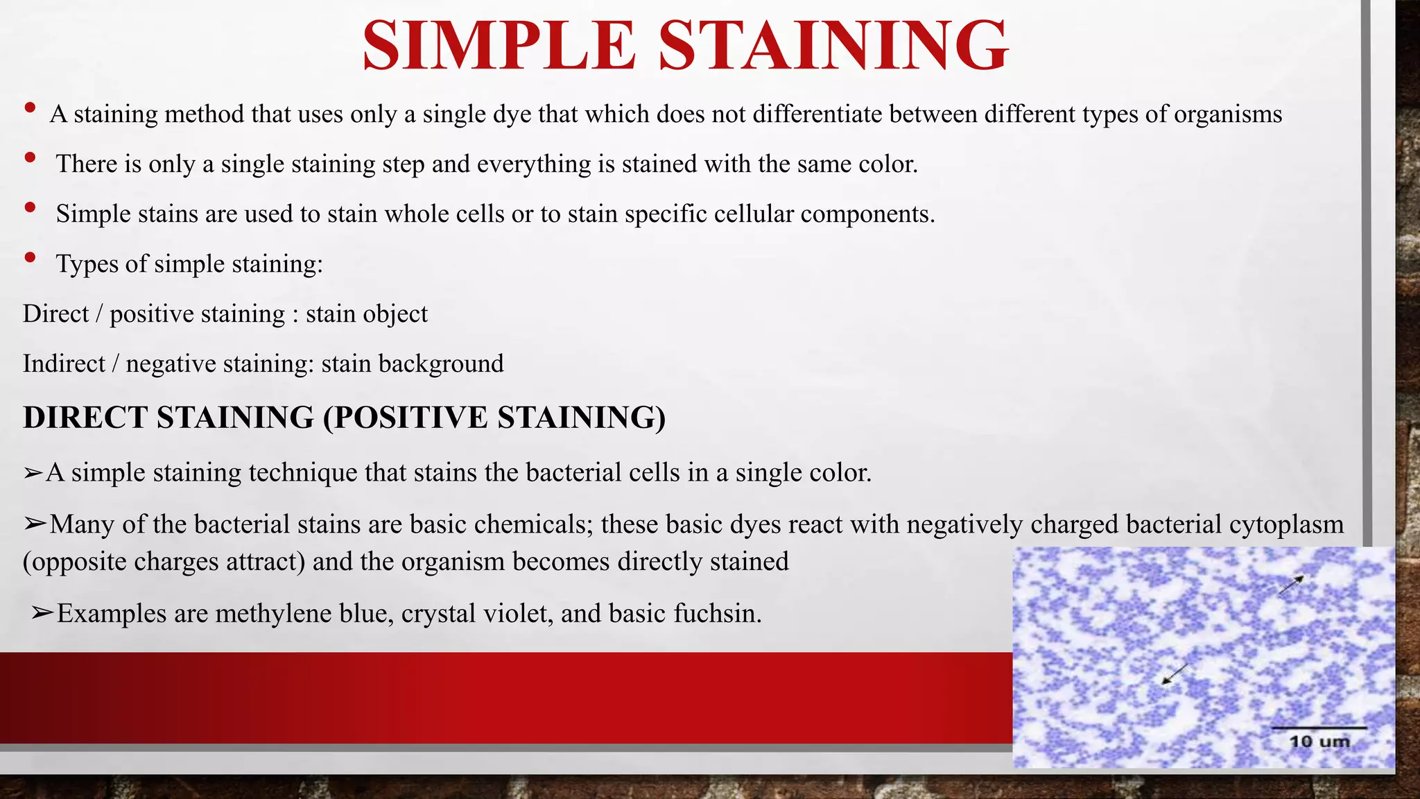 SIMPLE STAINING
• A staining method that uses only a single dye that which does not differentiate between different types of organisms
• There is only a single staining step and everything is stained with the same color.
• Simple stains are used to stain whole cells or to stain specific cellular components.
• Types of simple staining:
Direct / positive staining : stain object
Indirect / negative staining: stain background
DIRECT STAINING (POSITIVE STAINING)
➢A simple staining technique that stains the bacterial cells in a single color.
➢Many of the bacterial stains are basic chemicals; these basic dyes react with negatively charged bacterial cytoplasm
(opposite charges attract) and the organism becomes directly stained
➢Examples are methylene blue, crystal violet, and basic fuchsin.
 