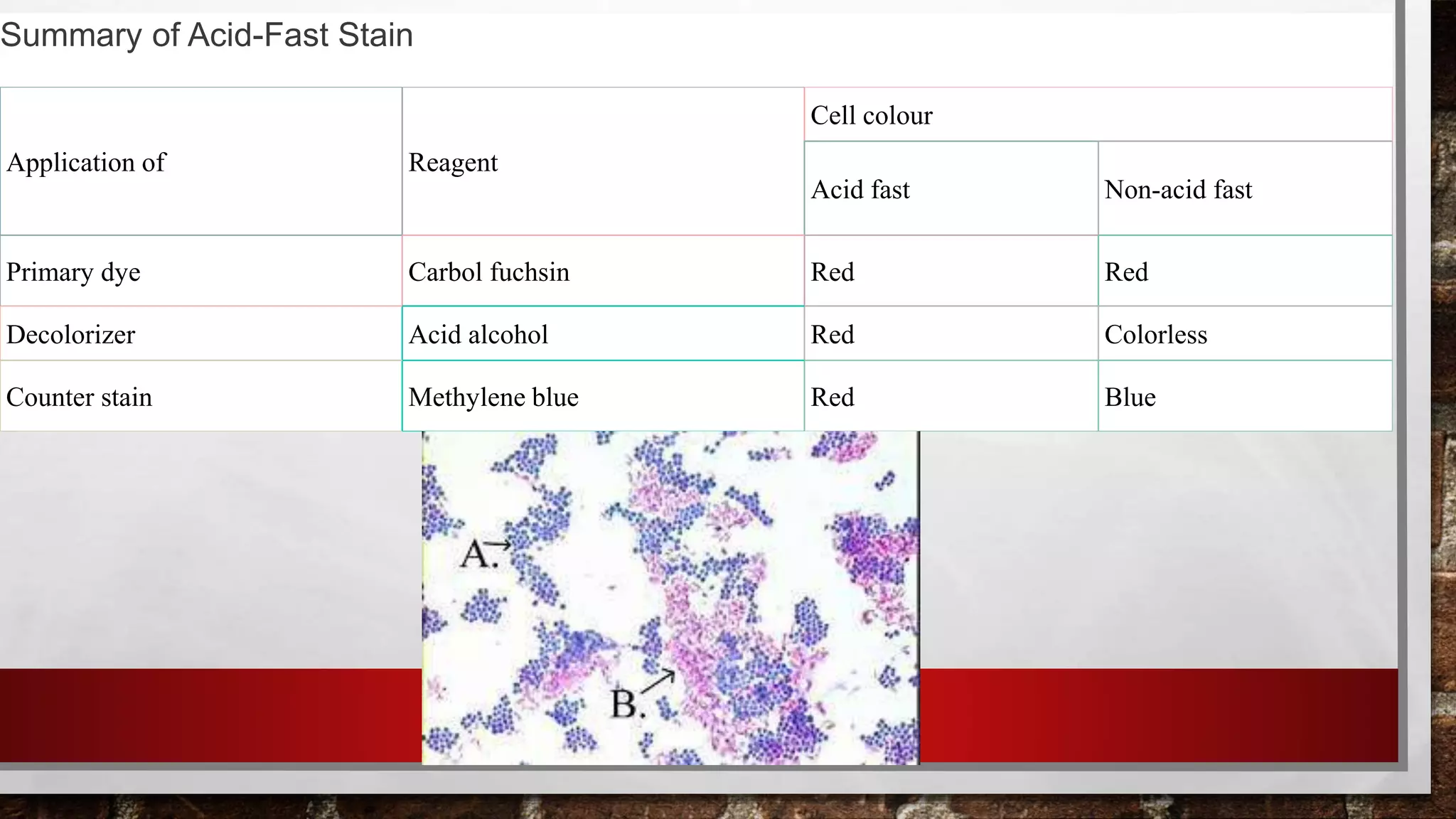 Application of Reagent
Cell colour
Acid fast Non-acid fast
Primary dye Carbol fuchsin Red Red
Decolorizer Acid alcohol Red Colorless
Counter stain Methylene blue Red Blue
Summary of Acid-Fast Stain
 