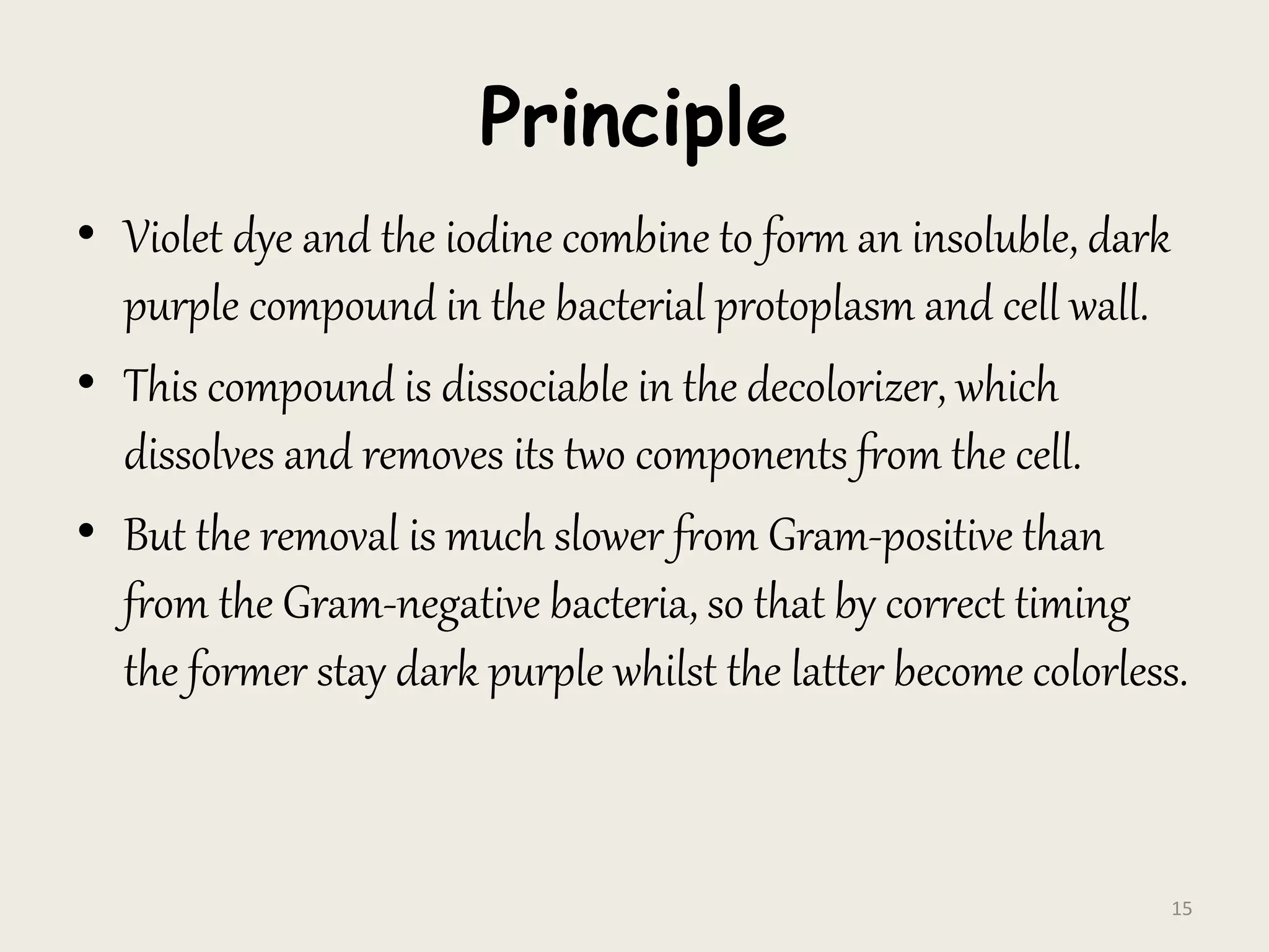 Principle
• Violet dye and the iodine combine to form an insoluble, dark
purple compound in the bacterial protoplasm and cell wall.
• This compound is dissociable in the decolorizer, which
dissolves and removes its two components from the cell.
• But the removal is much slower from Gram-positive than
from the Gram-negative bacteria, so that by correct timing
the former stay dark purple whilst the latter become colorless.
15
 