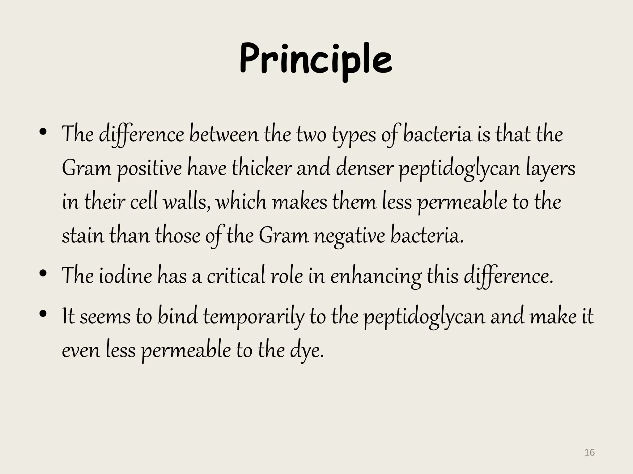 Principle
• The difference between the two types of bacteria is that the
Gram positive have thicker and denser peptidoglycan layers
in their cell walls, which makes them less permeable to the
stain than those of the Gram negative bacteria.
• The iodine has a critical role in enhancing this difference.
• It seems to bind temporarily to the peptidoglycan and make it
even less permeable to the dye.
16
 