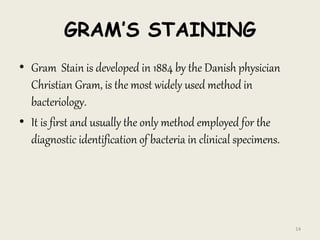 GRAM’S STAINING
• Gram Stain is developed in 1884 by the Danish physician
Christian Gram, is the most widely used method in
bacteriology.
• It is first and usually the only method employed for the
diagnostic identification of bacteria in clinical specimens.
14
 
