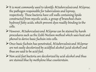 It is most commonly used to identify M.tuberculosis and M.leprae,
the pathogen responsible for tuberculosis and leprosy,
respectively. These bacteria have cell walls containing lipids
constructed from mycolic acids, a group of branched chain
hydroxyl fatty acids, which prevent dyes readily binding to the
cells.
However, M.tuberculosis and M.leprae can be stained by harsh
procedures such as the Zeihl-Neelson method which uses heat and
phenol to derive basic fuchsin into cells.
Once basic fuchsin has penetrated, M.tuberculosis and M.leprae
are not easily decolorized by acidified alcohol (acid-alcohol) and
thus are said to be acid-fast.
Non acid-fast bacteria are decolorized by acid-alcohol and thus
are stained blue by methylene blue counterstain.
25
 