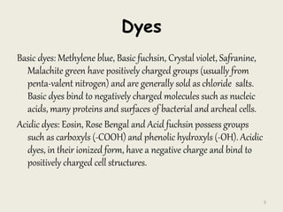 Dyes
Basic dyes: Methylene blue, Basic fuchsin, Crystal violet, Safranine,
Malachite green have positively charged groups (usually from
penta-valent nitrogen) and are generally sold as chloride salts.
Basic dyes bind to negatively charged molecules such as nucleic
acids, many proteins and surfaces of bacterial and archeal cells.
Acidic dyes: Eosin, Rose Bengal and Acid fuchsin possess groups
such as carboxyls (-COOH) and phenolic hydroxyls (-OH). Acidic
dyes, in their ionized form, have a negative charge and bind to
positively charged cell structures.
3
 