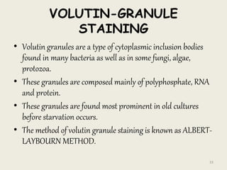 VOLUTIN-GRANULE
STAINING
• Volutin granules are a type of cytoplasmic inclusion bodies
found in many bacteria as well as in some fungi, algae,
protozoa.
• These granules are composed mainly of polyphosphate, RNA
and protein.
• These granules are found most prominent in old cultures
before starvation occurs.
• The method of volutin granule staining is known as ALBERT-
LAYBOURN METHOD.
33
 