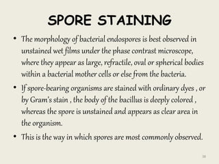 SPORE STAINING
• The morphology of bacterial endospores is best observed in
unstained wet films under the phase contrast microscope,
where they appear as large, refractile, oval or spherical bodies
within a bacterial mother cells or else from the bacteria.
• If spore-bearing organisms are stained with ordinary dyes , or
by Gram’s stain , the body of the bacillus is deeply colored ,
whereas the spore is unstained and appears as clear area in
the organism.
• This is the way in which spores are most commonly observed.
38
 