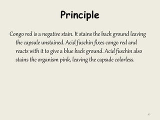 Principle
Congo red is a negative stain. It stains the back ground leaving
the capsule unstained. Acid fuschin fixes congo red and
reacts with it to give a blue back ground. Acid fuschin also
stains the organism pink, leaving the capsule colorless.
47
 