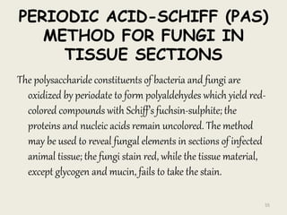 PERIODIC ACID-SCHIFF (PAS)
METHOD FOR FUNGI IN
TISSUE SECTIONS
The polysaccharide constituents of bacteria and fungi are
oxidized by periodate to form polyaldehydes which yield red-
colored compounds with Schiff’s fuchsin-sulphite; the
proteins and nucleic acids remain uncolored. The method
may be used to reveal fungal elements in sections of infected
animal tissue; the fungi stain red, while the tissue material,
except glycogen and mucin, fails to take the stain.
55
 