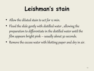 Leishman’s stain
• Allow the diluted stain to act for 12 min.
• Flood the slide gently with distilled water , allowing the
preparation to differentiate in the distilled water until the
film appears bright pink – usually about 30 seconds.
• Remove the excess water with blotting paper and dry in air.
60
 
