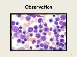 Observation
64
 