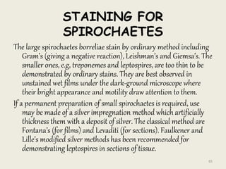 STAINING FOR
SPIROCHAETES
The large spirochaetes borreliae stain by ordinary method including
Gram’s (giving a negative reaction), Leishman’s and Giemsa’s. The
smaller ones, e.g, treponemes and leptospires, are too thin to be
demonstrated by ordinary stains. They are best observed in
unstained wet films under the dark-ground microscope where
their bright appearance and motility draw attention to them.
If a permanent preparation of small spirochaetes is required, use
may be made of a silver impregnation method which artificially
thickness them with a deposit of silver. The classical method are
Fontana’s (for films) and Levaditi (for sections). Faulkener and
Lille’s modified silver methods has been recommended for
demonstrating leptospires in sections of tissue.
65
 