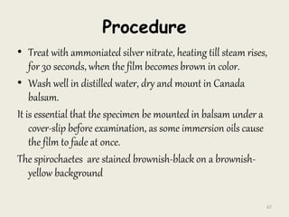 Procedure
• Treat with ammoniated silver nitrate, heating till steam rises,
for 30 seconds, when the film becomes brown in color.
• Wash well in distilled water, dry and mount in Canada
balsam.
It is essential that the specimen be mounted in balsam under a
cover-slip before examination, as some immersion oils cause
the film to fade at once.
The spirochaetes are stained brownish-black on a brownish-
yellow background
67
 