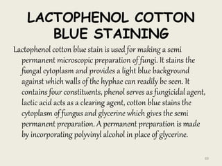 LACTOPHENOL COTTON
BLUE STAINING
Lactophenol cotton blue stain is used for making a semi
permanent microscopic preparation of fungi. It stains the
fungal cytoplasm and provides a light blue background
against which walls of the hyphae can readily be seen. It
contains four constituents, phenol serves as fungicidal agent,
lactic acid acts as a clearing agent, cotton blue stains the
cytoplasm of fungus and glycerine which gives the semi
permanent preparation. A permanent preparation is made
by incorporating polyvinyl alcohol in place of glycerine.
69
 