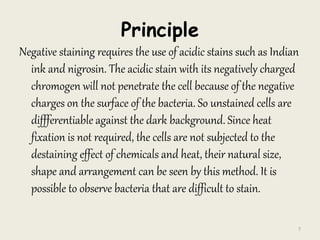 Principle
Negative staining requires the use of acidic stains such as Indian
ink and nigrosin. The acidic stain with its negatively charged
chromogen will not penetrate the cell because of the negative
charges on the surface of the bacteria. So unstained cells are
diffferentiable against the dark background. Since heat
fixation is not required, the cells are not subjected to the
destaining effect of chemicals and heat, their natural size,
shape and arrangement can be seen by this method. It is
possible to observe bacteria that are difficult to stain.
7
 