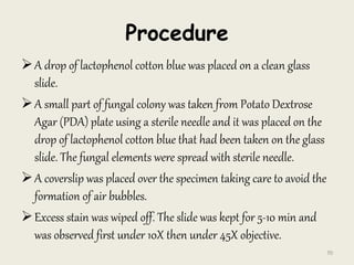 Procedure
A drop of lactophenol cotton blue was placed on a clean glass
slide.
A small part of fungal colony was taken from Potato Dextrose
Agar (PDA) plate using a sterile needle and it was placed on the
drop of lactophenol cotton blue that had been taken on the glass
slide. The fungal elements were spread with sterile needle.
A coverslip was placed over the specimen taking care to avoid the
formation of air bubbles.
Excess stain was wiped off. The slide was kept for 5-10 min and
was observed first under 10X then under 45X objective.
70
 