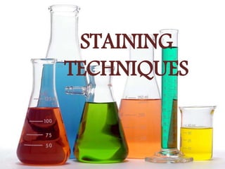 STAINING
TECHNIQUES
 