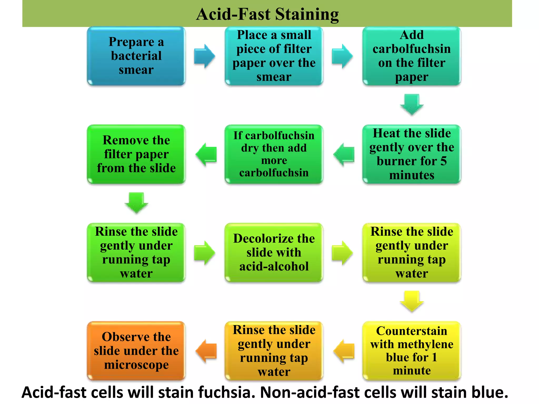 Acid-Fast Staining
Prepare a
bacterial
smear
Place a small
piece of filter
paper over the
smear
Add
carbolfuchsin
on the filter
paper
Heat the slide
gently over the
burner for 5
minutes
If carbolfuchsin
dry then add
more
carbolfuchsin
Remove the
filter paper
from the slide
Rinse the slide
gently under
running tap
water
Decolorize the
slide with
acid-alcohol
Rinse the slide
gently under
running tap
water
Counterstain
with methylene
blue for 1
minute
Rinse the slide
gently under
running tap
water
Observe the
slide under the
microscope
Acid-fast cells will stain fuchsia. Non-acid-fast cells will stain blue.
 