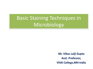 Basic Staining Techniques in
Microbiology
Mr. Vikas Lalji Gupta
Asst. Professor,
VIVA College,MH-India
 