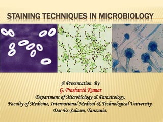 Ppt Principle Of Staining Technique Powerpoint