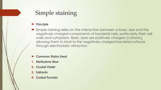 Tools Simple Staining staining techniques micro seminar .pptxh hj | PPTX