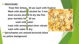Staining Techniques used in Diagnostic Microbiology.pptx