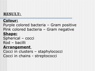 Colour:
Purple colored bacteria – Gram positive
Pink colored bacteria – Gram negative
Shape:
Spherical – cocci
Rod – bacilli
Arrangement
Cocci in clusters – staphylococci
Cocci in chains - streptococci
RESULT:
 