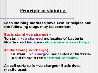 Each staining methods have own principles but
the following steps may be common:
Basic stain(+ve charge) –
To stain -ve charged molecules of bacteria
Mostly used because cell surface is –ve charge.
Acidic Stain(-ve charge)
To stain +ve charged molecules of bacteria.
Used to stain the bacterial capsules.
As cell surface is –ve charged- Basic dyes
mostly used.
Principle of staining:
 