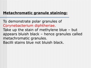 Metachromatic granule staining:
To demonstrate polar granules of
Corynebacterium diphtheriae.
Take up the stain of methylene blue – but
appears bluish black – hence granules called
metachromatic granules.
Bacilli stains blue not bluish black.
 