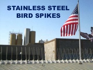 STAINLESS STEEL
BIRD SPIKES
 