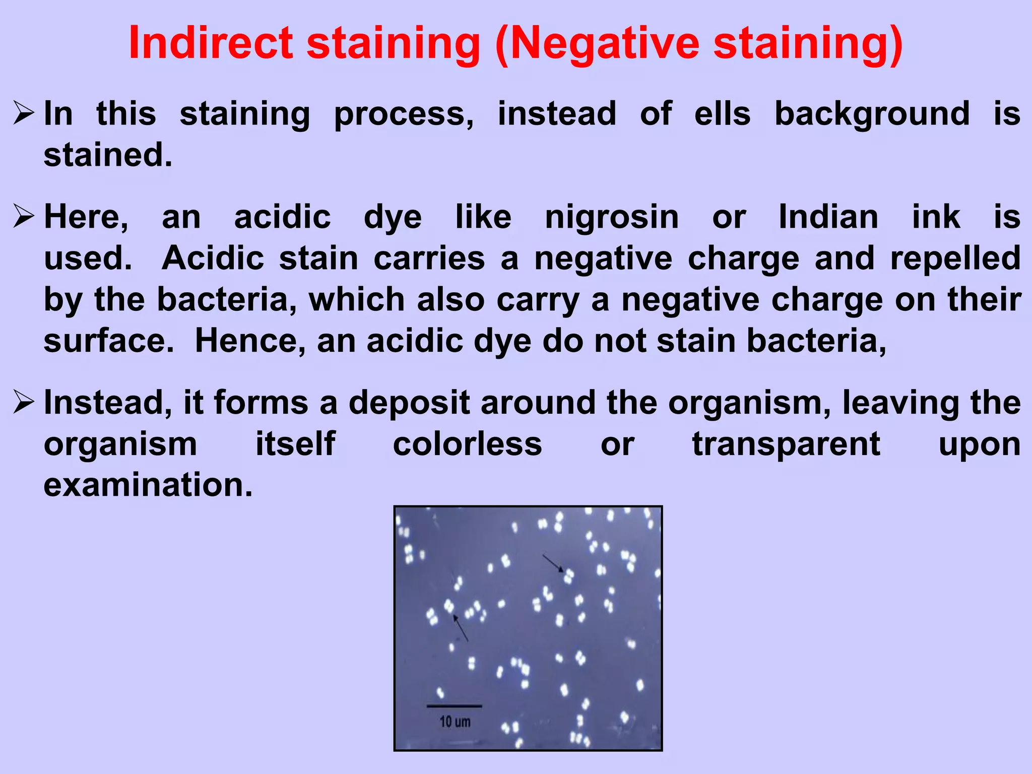 Indirect staining (Negative staining)
➢ In this staining process, instead of ells background is
stained.
➢ Here, an acidic dye like nigrosin or Indian ink is
used. Acidic stain carries a negative charge and repelled
by the bacteria, which also carry a negative charge on their
surface. Hence, an acidic dye do not stain bacteria,
➢ Instead, it forms a deposit around the organism, leaving the
organism itself colorless or transparent upon
examination.
 