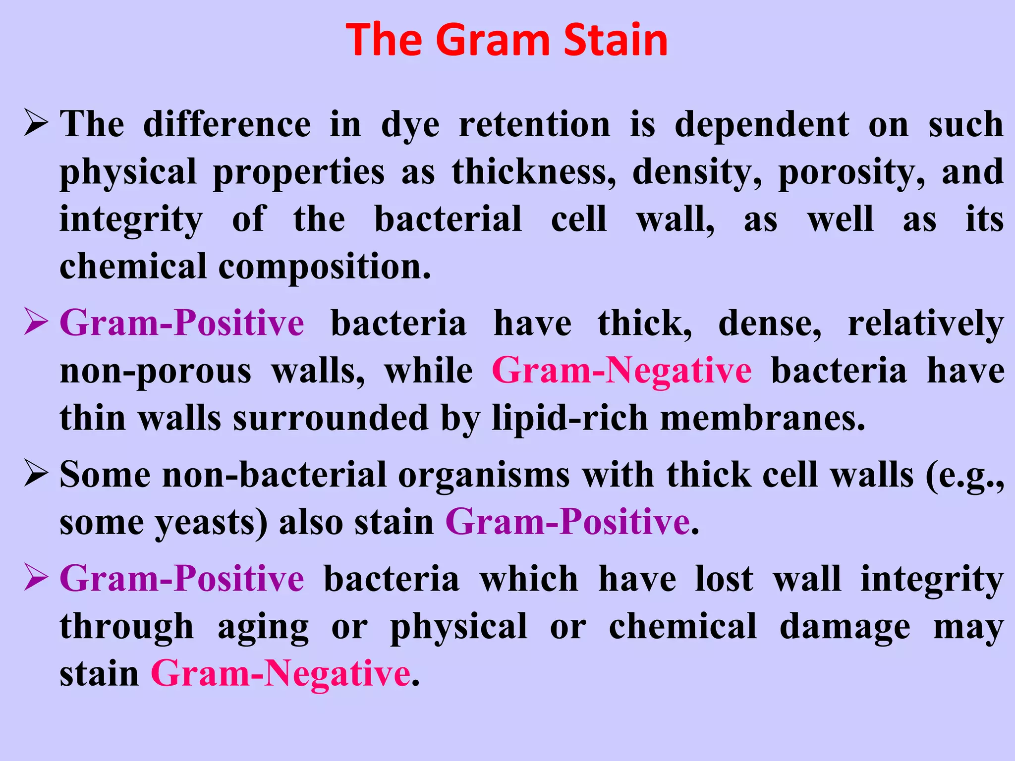 The Gram Stain
➢ The difference in dye retention is dependent on such
physical properties as thickness, density, porosity, and
integrity of the bacterial cell wall, as well as its
chemical composition.
➢ Gram-Positive bacteria have thick, dense, relatively
non-porous walls, while Gram-Negative bacteria have
thin walls surrounded by lipid-rich membranes.
➢ Some non-bacterial organisms with thick cell walls (e.g.,
some yeasts) also stain Gram-Positive.
➢ Gram-Positive bacteria which have lost wall integrity
through aging or physical or chemical damage may
stain Gram-Negative.
 