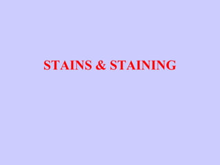 STAINS & STAINING
 