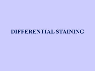 DIFFERENTIAL STAINING
 