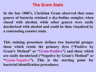 The Gram Stain
In the late 1800’s, Christian Gram observed that some
genera of bacteria retained a dye-Iodine complex when
rinsed with alcohol, while other genera were easily
decolorized with alcohol and could be then visualized by
a contrasting counter stain.
This staining procedure defines two bacterial groups:
those which retain the primary dyes (“Positive by
Gram’s Method” or “Gram-Positive”) and those which
are easily decolorized (“Negative by Gram’s Method” or
“Gram-Negative”). This is the starting point for
bacterial identification procedures.
 