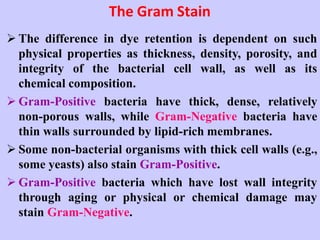 The Gram Stain
 The difference in dye retention is dependent on such
physical properties as thickness, density, porosity, and
integrity of the bacterial cell wall, as well as its
chemical composition.
 Gram-Positive bacteria have thick, dense, relatively
non-porous walls, while Gram-Negative bacteria have
thin walls surrounded by lipid-rich membranes.
 Some non-bacterial organisms with thick cell walls (e.g.,
some yeasts) also stain Gram-Positive.
 Gram-Positive bacteria which have lost wall integrity
through aging or physical or chemical damage may
stain Gram-Negative.
 