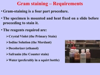 Gram staining – Requirements
• Gram-staining is a four part procedure.
• The specimen is mounted and heat fixed on a slide before
proceeding to stain it.
• The reagents required are:
Crystal Violet (the Primary Stain)
Iodine Solution (the Mordant)
Decolorizer (ethanol)
Safranin (the Counter stain)
Water (preferably in a squirt bottle)
 