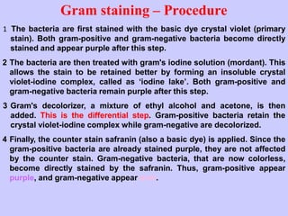 Gram staining – Procedure
1 The bacteria are first stained with the basic dye crystal violet (primary
stain). Both gram-positive and gram-negative bacteria become directly
stained and appear purple after this step.
2 The bacteria are then treated with gram's iodine solution (mordant). This
allows the stain to be retained better by forming an insoluble crystal
violet-iodine complex, called as ‘iodine lake’. Both gram-positive and
gram-negative bacteria remain purple after this step.
3 Gram's decolorizer, a mixture of ethyl alcohol and acetone, is then
added. This is the differential step. Gram-positive bacteria retain the
crystal violet-iodine complex while gram-negative are decolorized.
4 Finally, the counter stain safranin (also a basic dye) is applied. Since the
gram-positive bacteria are already stained purple, they are not affected
by the counter stain. Gram-negative bacteria, that are now colorless,
become directly stained by the safranin. Thus, gram-positive appear
purple, and gram-negative appear pink.
 