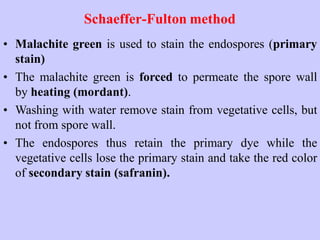 Schaeffer-Fulton method
• Malachite green is used to stain the endospores (primary
stain)
• The malachite green is forced to permeate the spore wall
by heating (mordant).
• Washing with water remove stain from vegetative cells, but
not from spore wall.
• The endospores thus retain the primary dye while the
vegetative cells lose the primary stain and take the red color
of secondary stain (safranin).
 