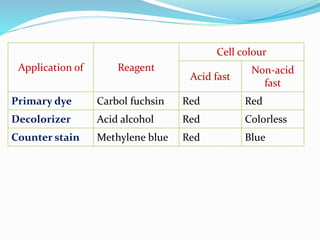 Colorless Reagent Stains and staining techniques | PPTX