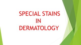 SPECIAL STAINS
IN
DERMATOLOGY
 