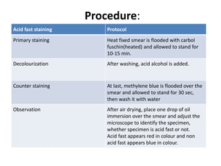 stains in dermatology.pptx