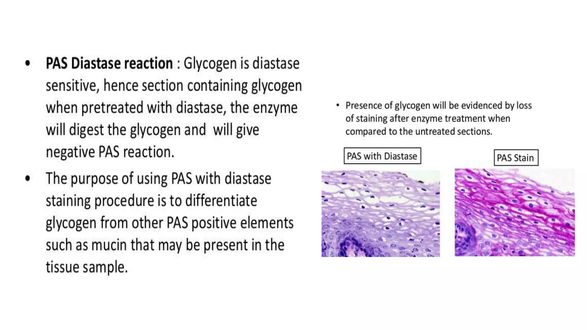 STAINS IN HISTOPATHOLOGY.pptx