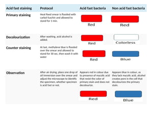 Staining techniques in microbiology .ppt