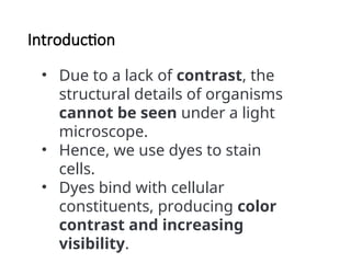 Staining techniques in microbiology .ppt
