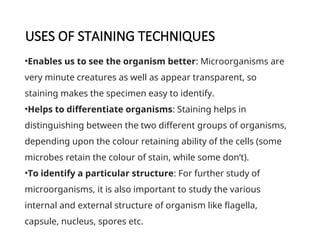 Staining techniques in microbiology .ppt