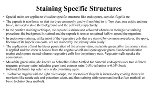 Structural Stain Examples Comprehensive overview of microbial Stains & staining techniques | PPTX