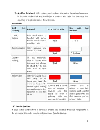 stain & staining.pdf