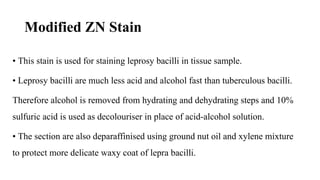 Stains Used in Histopathology and Uses [Autosaved].pptx